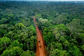 Green Alternatives for Latin America