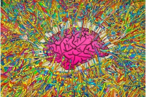 Psychedelics and The Brain