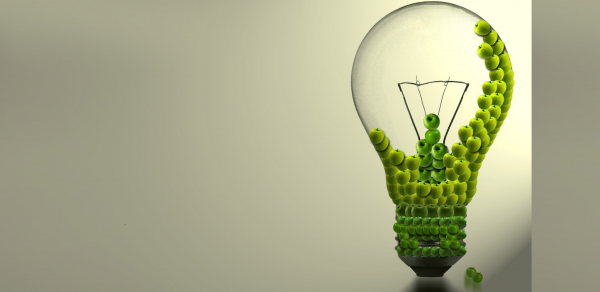 Renewables Good$Bad2