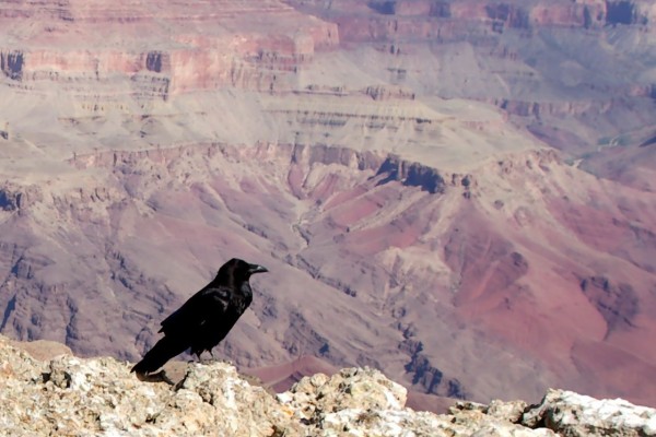 Photo by  Al_HikesAZ. Creative Commons license.