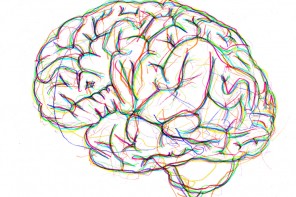 Your Brain on Brains