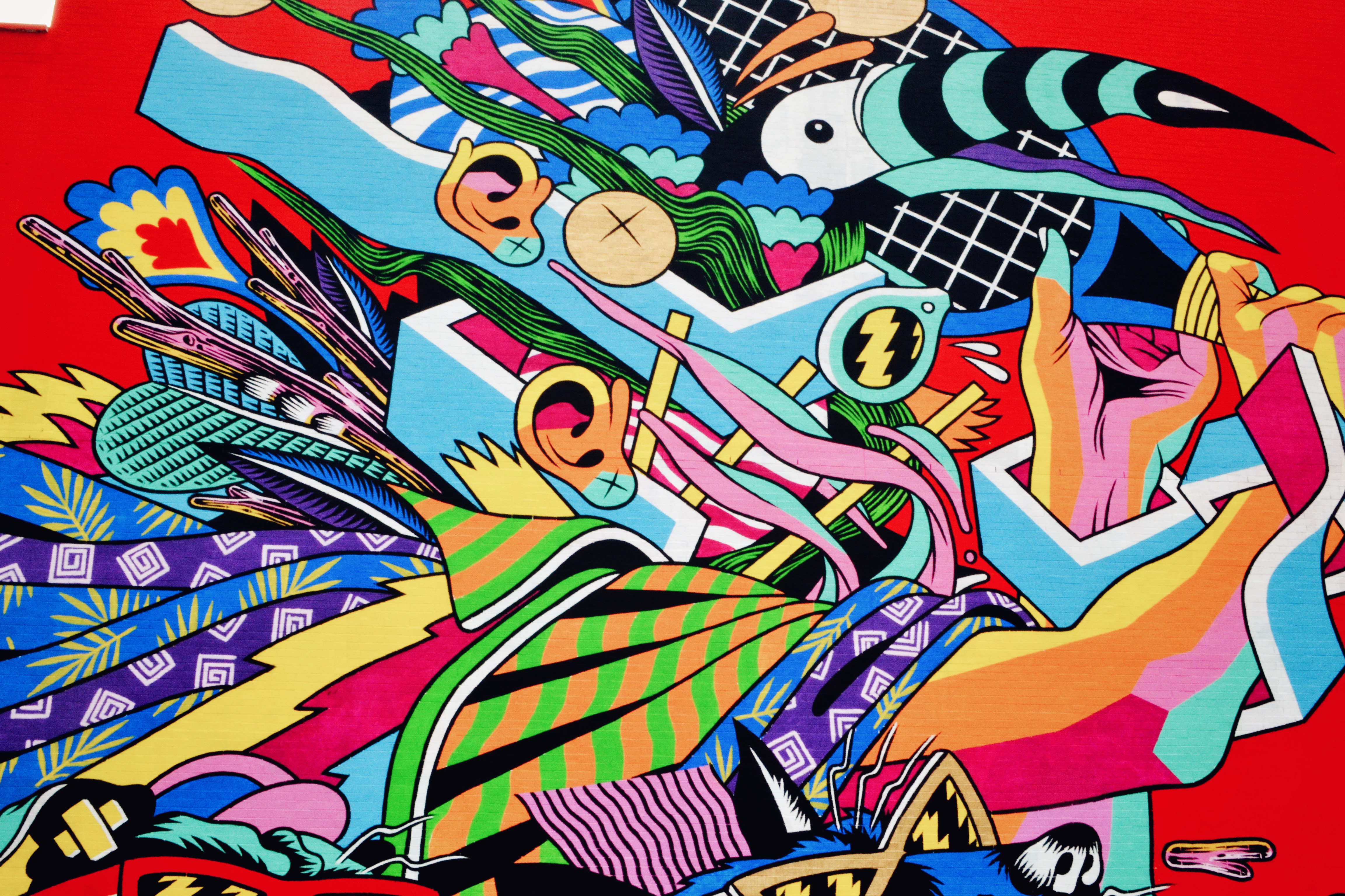 Bicicleta Sem Freio