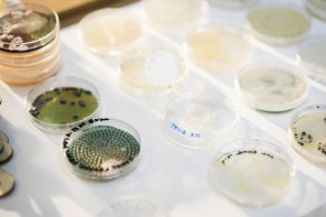 DIY Biology : les labos du peuple