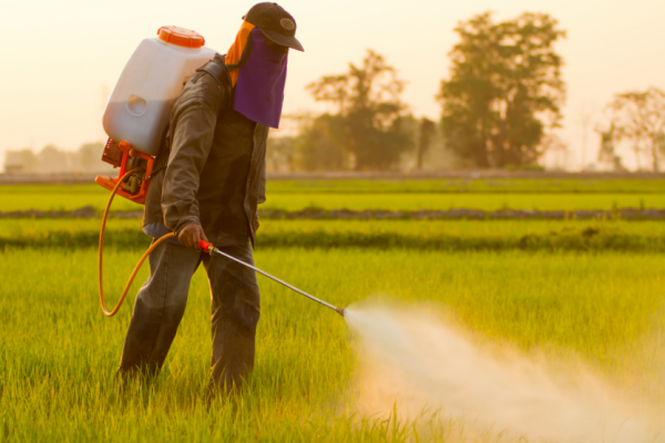 pesticides