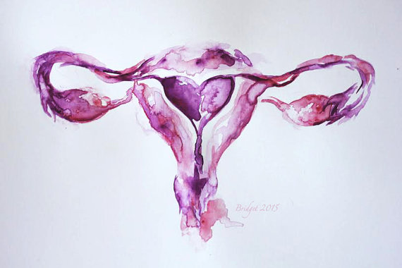 uterus