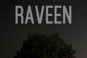 Inside the Minds of RAVEEN